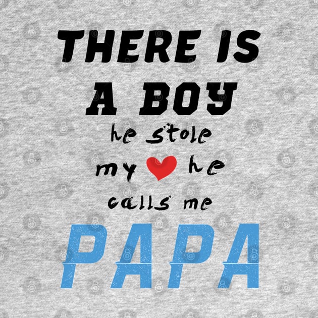 Papa Gifts Shirts from Grandson, he Stole My Heart by CareTees